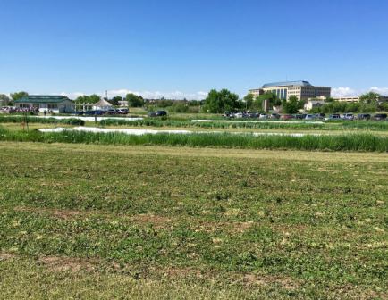 DeLaney Community Farm, Aurora, Colorado