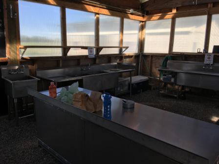 New stainless steel washing area at DeLaney Community Farm